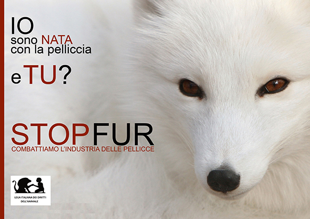 stop fur